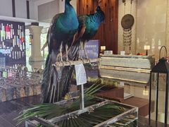 -西双版纳融创皇冠假日度假酒店