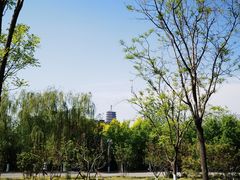 -永定河休闲森林公园