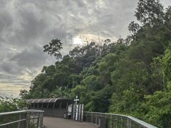 -板樟山森林公园