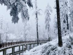 -瓦屋山景区