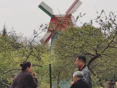 -洛阳郁金香牡丹园