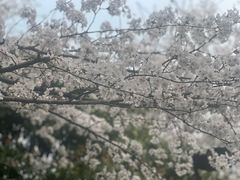 -杭州城北体育公园