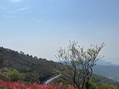 -缥缈峰景区