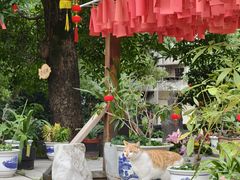 -福州开元寺