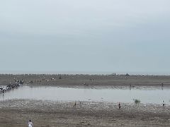 -启东黄金海滩景区