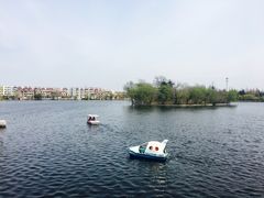 -莱西月湖公园