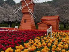 -苏州上方山国家森林公园