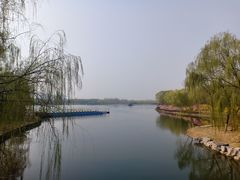 -大兴滨河森林公园