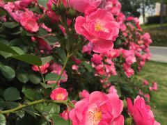 -杭州城北体育公园