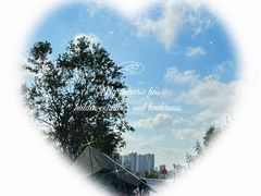 -上海山野camping·户外天幕烧烤·团建拓展营地