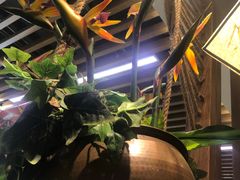 -云海肴云南菜·蒸汽石锅鱼(北京良乡华冠店)