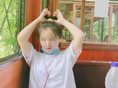 -合肥滨湖国家森林公园