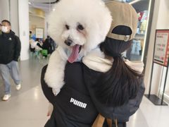 -心仪动物医院·牙专科·肿瘤·心脏科(西客站院)