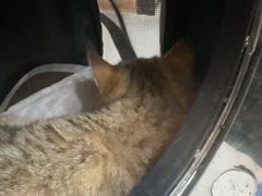-联合动物医院(光谷诊疗中心)