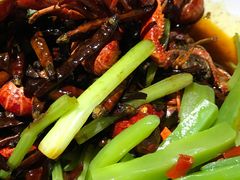 -红盔甲·小龙虾(天钥桥店)