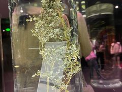 -广东中医药博物馆