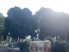 -东莞植物园