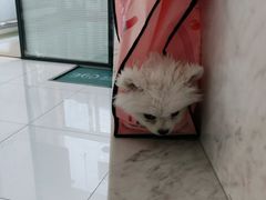 -北京恒爱动物医院(清景园分院)