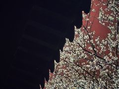 -钱王祠