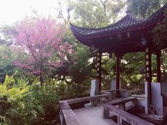 -乌山风景区