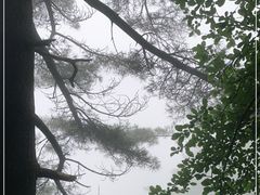 -尧山风景区