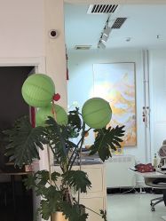 -黎蓓露·徒手骨雕蛋白抗衰·调肤管理