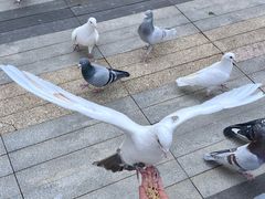 -中航城君尚购物中心
