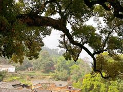 -杨家堂村