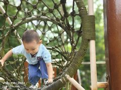 -玛利娅蒙特梭利双语幼儿园·托育(百家湖直营园)