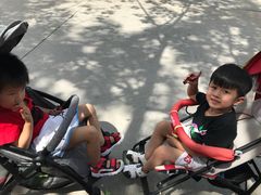 -石家庄市动物园