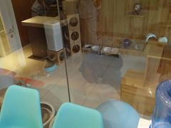 -纳吉亚猫专科动物医院博雅分院