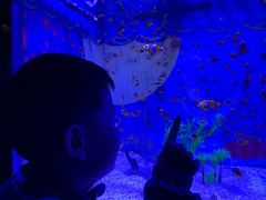 -烟台海昌鲸鲨海洋公园