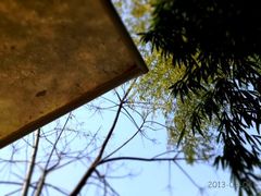 iphone_upload_pic-旅马餐厅(茅家埠店)