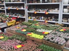 -秦美花卉(天朗·莱茵小城2期店)