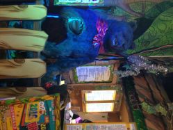 卡通尼乐园(金桥广场店)-卡通尼·Safari非洲探索乐园·生日会(金桥国际商业广场店)