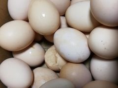 -三江购物(锦诚店)