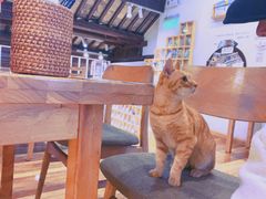 -猫的天空之城概念书店(苏州平江店)