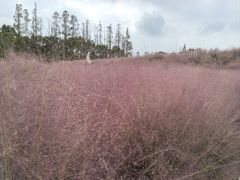 -嘉北郊野公园