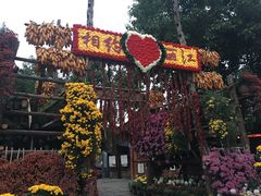 -大冰的小屋
