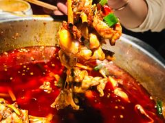 -宽口美蛙鱼头(大唐西市店)