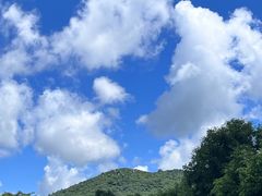 -三亚亚龙湾人间天堂鸟巢度假村