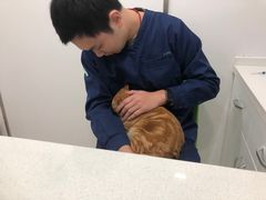 -佳雯宠物医院(四明中路分院)