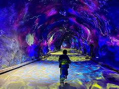 -栾川竹海野生动物园