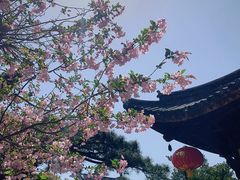 -龙华寺