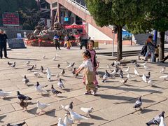 -龙口南山旅游景区