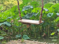 -洛阳市隋唐城遗址植物园
