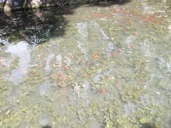 -无锡惠山寺