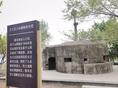 -莫子山公园