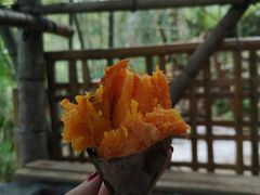 -大本营竹筒饭