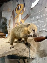 -Zoolung Zoolung动物主题公园(海信广场店)